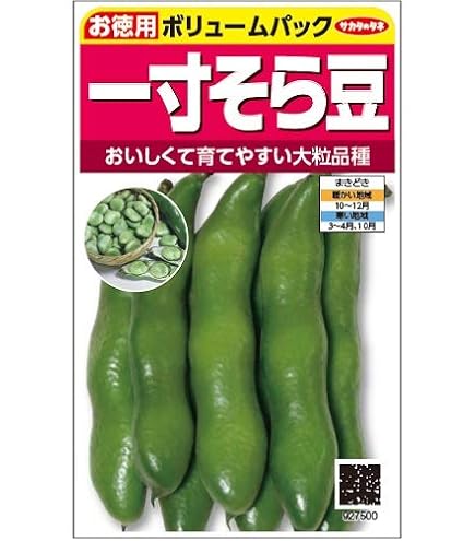 そらまめ Amazon | 株式会社トーホク 一寸そら豆 06327 | 野菜
